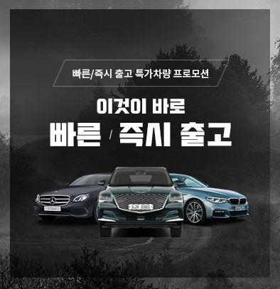 빠른/즉시출고 모아보기